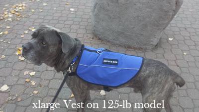 Emotional Support Animal Basic Registration Package - Image 7