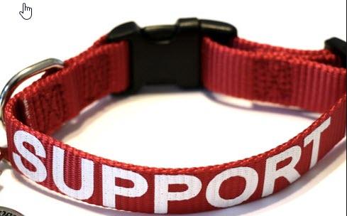 Emotional Support Animal Lightweight Mesh Deluxe Registration Package - Image 7