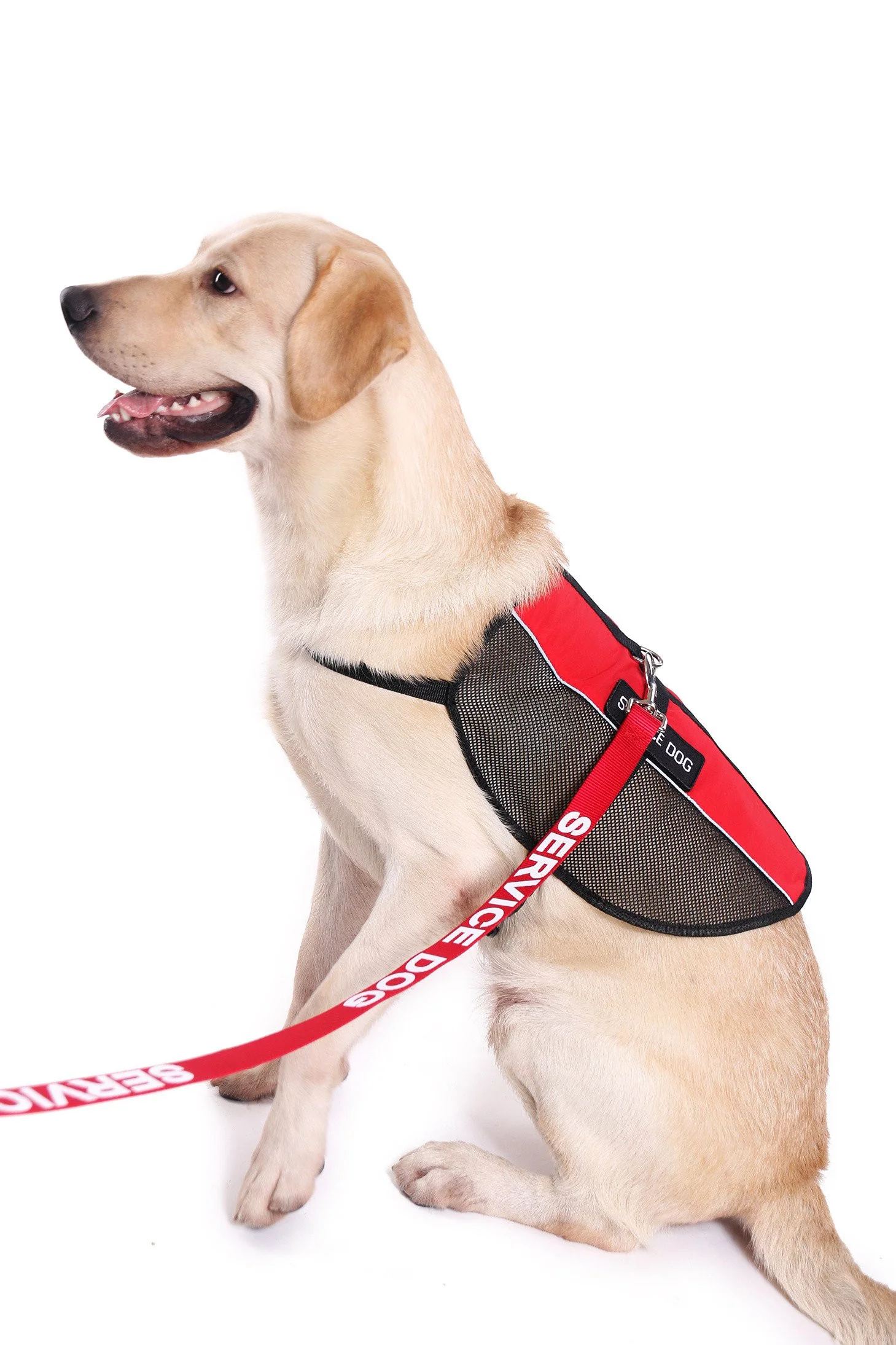 Emotional Support Animal Lightweight Mesh Deluxe Registration Package - Image 9
