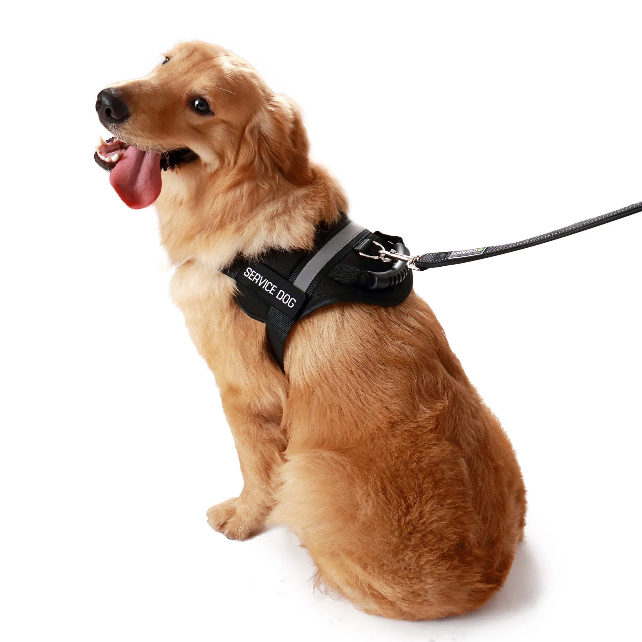 Emotional Support Animal Handle Vest Basic Package - Image 7