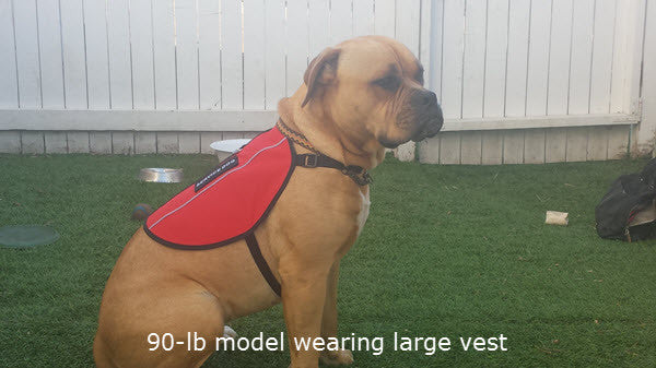 Emotional Support Animal Vest - Image 4