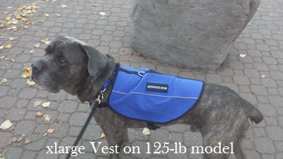Emotional Support Animal Vest - Image 9