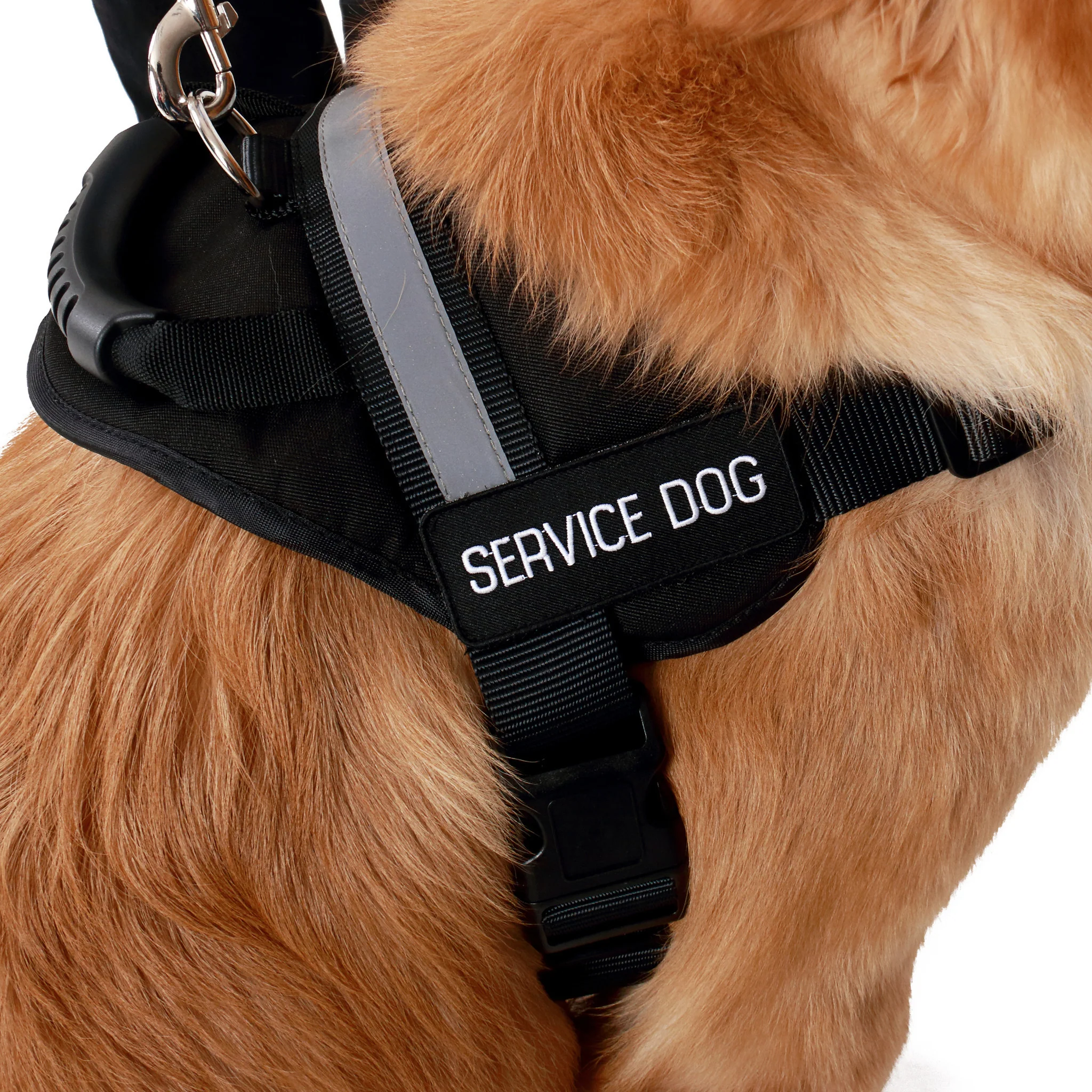 Emotional Support Animal Vest With Handle - Image 11
