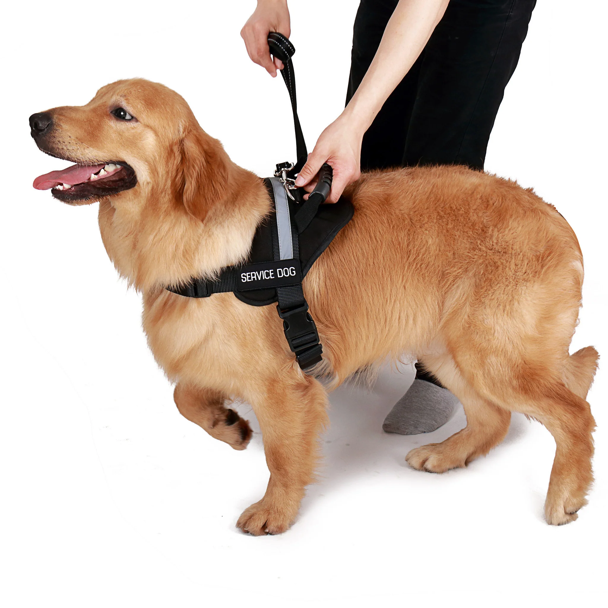 Emotional Support Animal Vest With Handle - Image 9