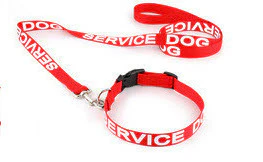 Emotional Support Animal Letter Premium Package Includes Housing Letter & Deluxe Package - Image 5