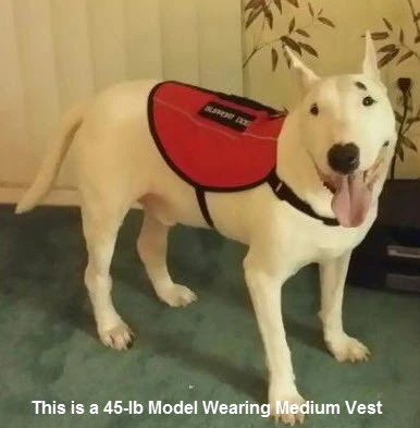 Service Dog Vest - Image 3