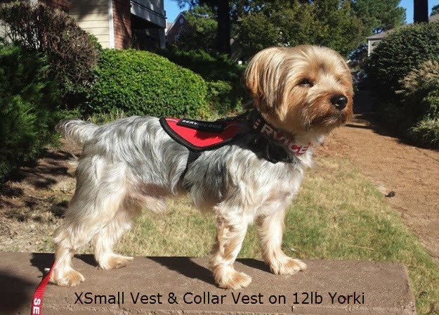 Service Dog Vest - Image 4