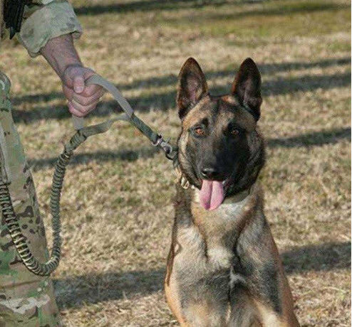 Heavy Duty Tactical Dog Vest & Leash - Image 10
