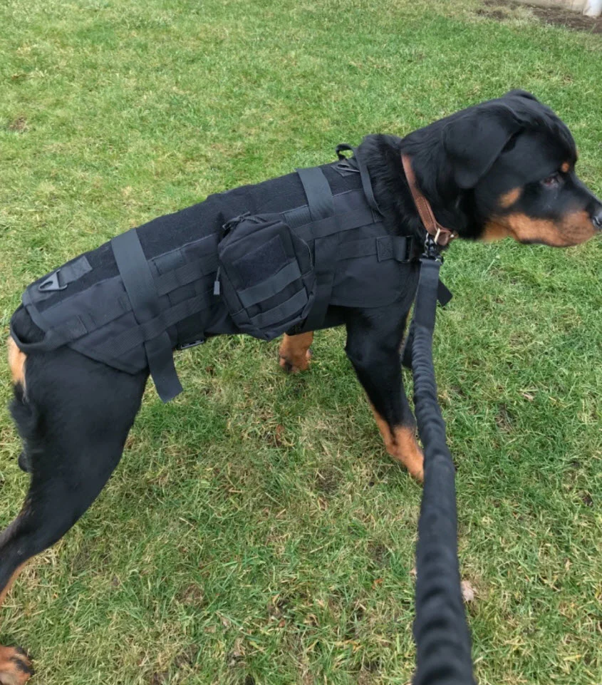 Heavy Duty Tactical Dog Vest & Leash - Image 12
