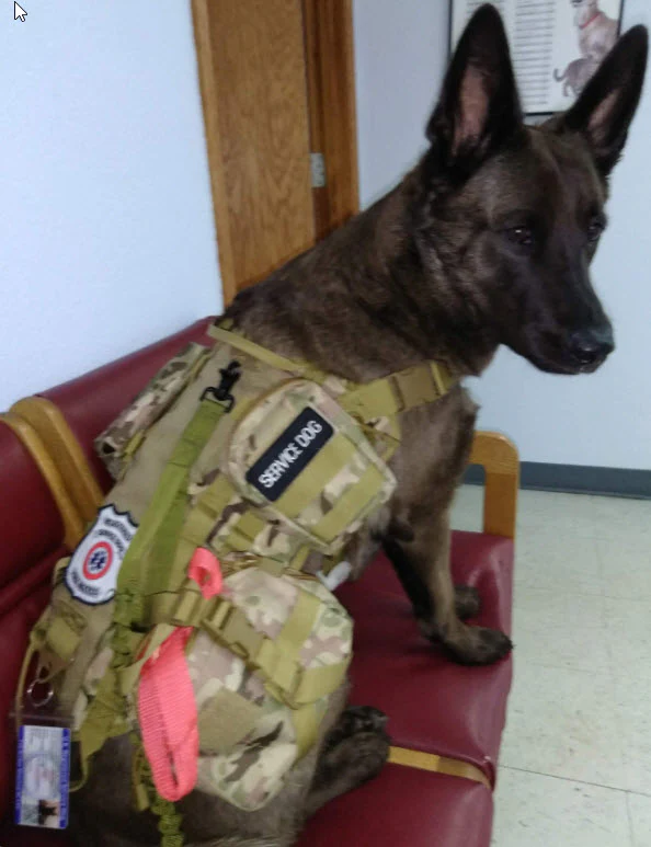 Heavy Duty Tactical Dog Vest & Leash - Image 14