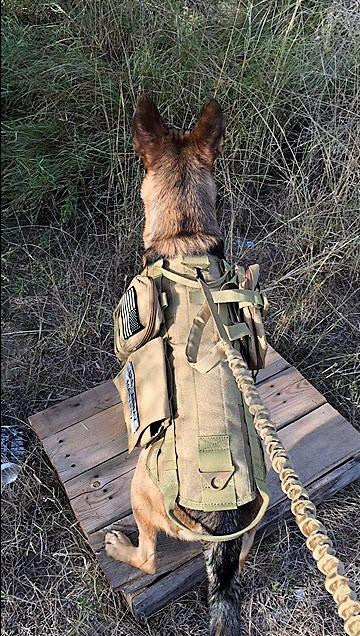 Heavy Duty Tactical Dog Vest & Leash - Image 4