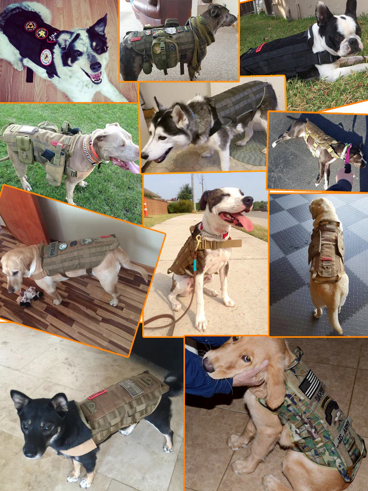 Heavy Duty Tactical Dog Vest & Leash - Image 8